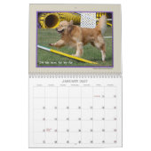 Golden Retriever Agility 2017 Kalender (Jan 2027)