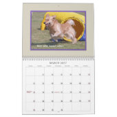 Golden Retriever Agility 2017 Kalender (Mar 2027)