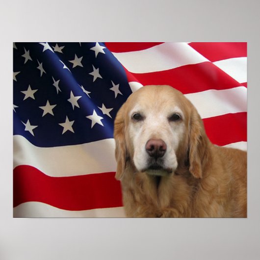 Golden Retriever American Flag Print (Voorkant)