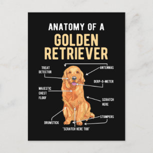 Golden Retriever Anatomy Funny Dog Briefkaart