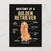 Golden Retriever Anatomy Funny Dog Briefkaart (Voorkant)