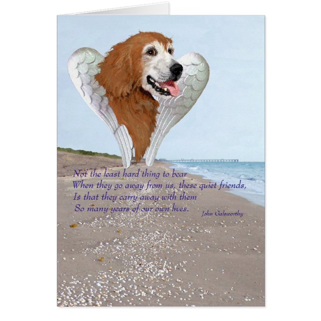 Golden Retriever Angel (Voorkant)