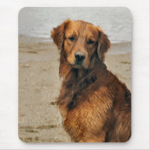 Golden Retriever Art Gifts