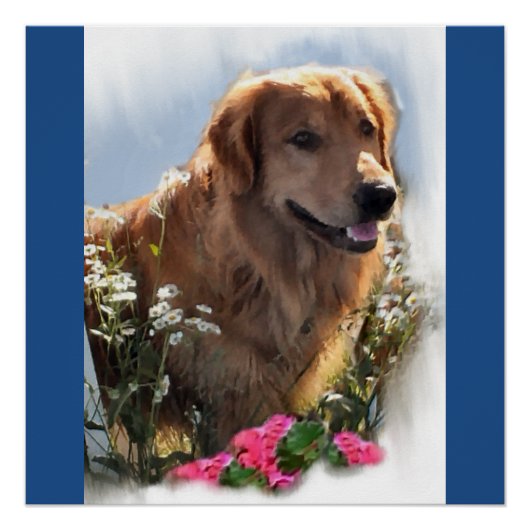Golden Retriever Art Gifts Poster (Voorkant)