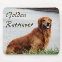 Golden Retriever Art