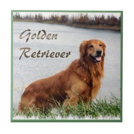 Golden Retriever Art Tegeltje