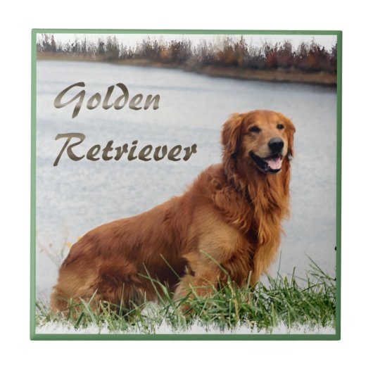 Golden Retriever Art Tegeltje (Voorkant)