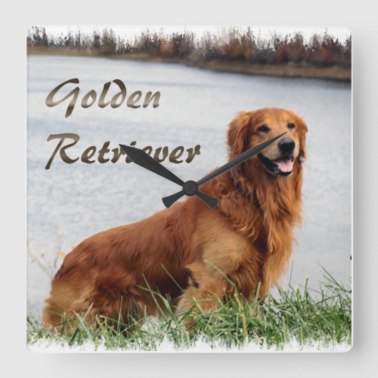 Golden Retriever Art Vierkante Klok (Voorkant)