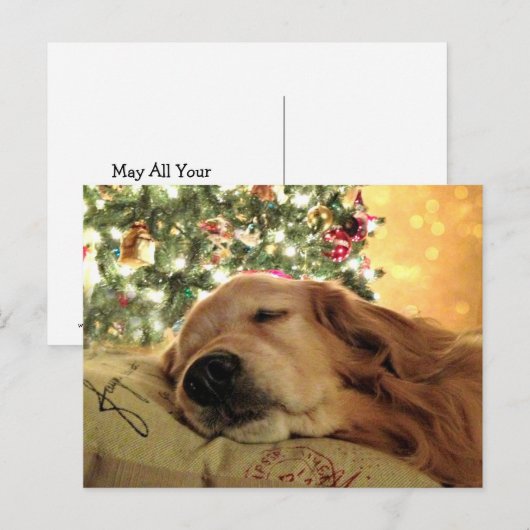 Golden Retriever Asleep beroemd gemaakt door Chris Feestdagenkaart (Voorkant / Achterkant)