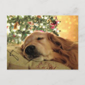 Golden Retriever Asleep beroemd gemaakt door Chris Feestdagenkaart (Voorkant)