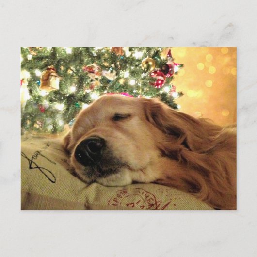 Golden Retriever Asleep beroemd gemaakt door Chris Feestdagenkaart (Voorkant)