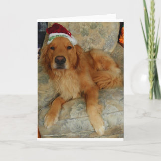 Golden Retriever at Christmas Feestdagen Kaart
