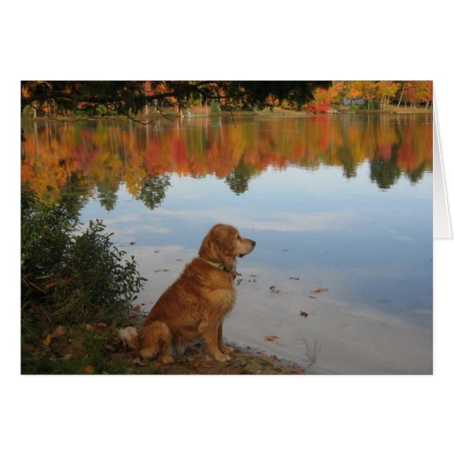 Golden Retriever Autumn bij het meer (Voorkant Horizontaal)