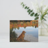 Golden Retriever Autumn bij het meer Briefkaart (Staand voorkant)