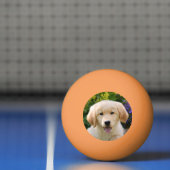 Golden Retriever Baby Dog Puppy Funny Pet Foto * Pingpongbal (Net)