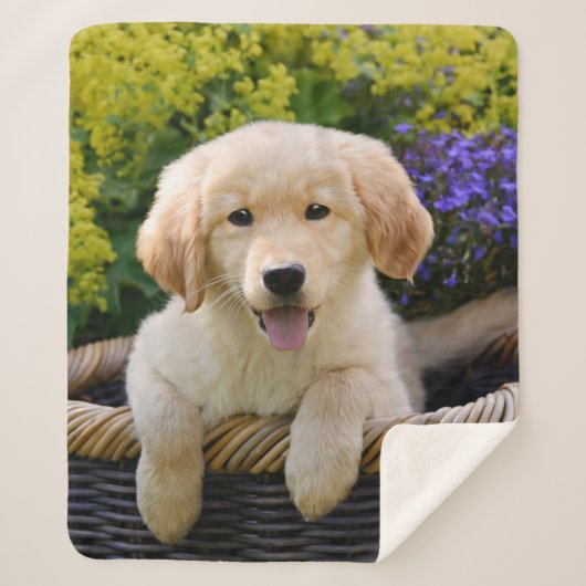 Golden Retriever Baby Dog Puppy Funny Pet Photo .. Sherpa Deken (Voorkant)