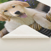 Golden Retriever Baby Dog Puppy Funny Pet Photo .. Sherpa Deken (3/4)