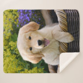 Golden Retriever Baby Dog Puppy Funny Pet Photo .. Sherpa Deken (Voorkant (horizontaal))