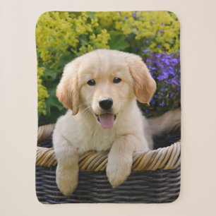 Golden Retriever Baby Dog Puppy Funny Pet Sherpa Deken
