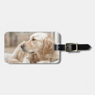 Golden Retriever Bagagelabel