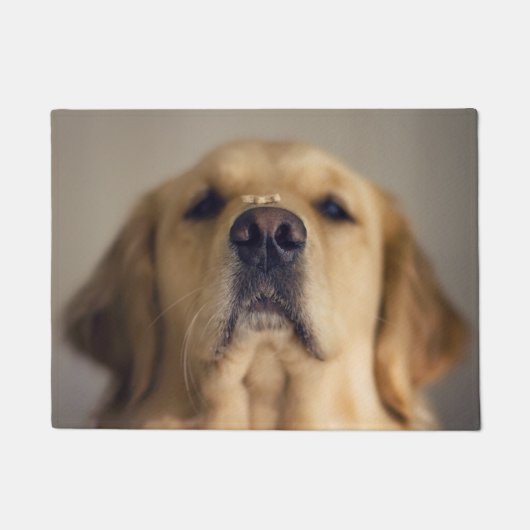 Golden Retriever Balancing Treat on Nose Deurmat (Voorkant)