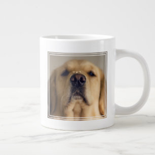 Golden Retriever Balancing Treat on Nose Grote Koffiekop