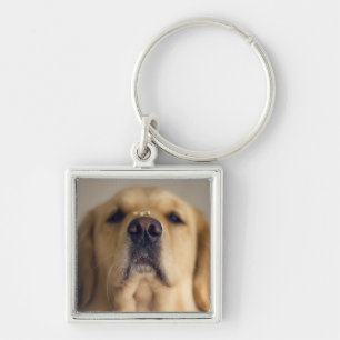 Golden Retriever Balancing Treat on Nose Sleutelhanger