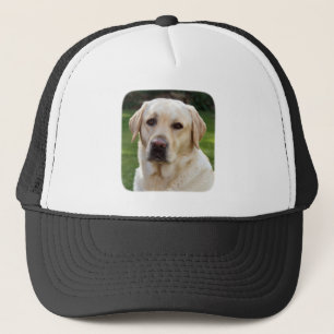 Golden Retriever Baseball/Trucker Hat Trucker Pet