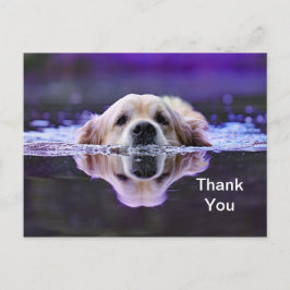 Golden Retriever Bedankkaart Briefkaart