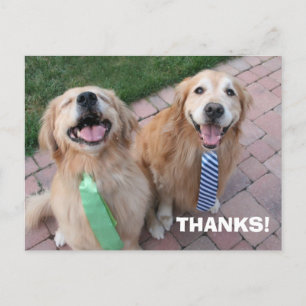 Golden Retriever Bedankt Briefkaart