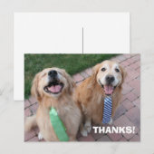 Golden Retriever Bedankt Briefkaart (Voorkant / Achterkant)