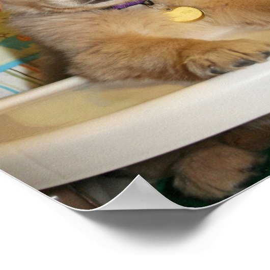 Golden Retriever Best Dingen in het leven zijn ond Poster (Hoek)