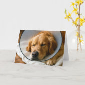 Golden Retriever Beterschap Kaart (Gele Bloem)