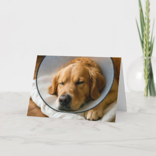 Golden Retriever Beterschap Kaart