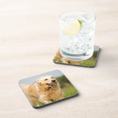 Golden Retriever Bier Onderzetter (Rechterzijde)