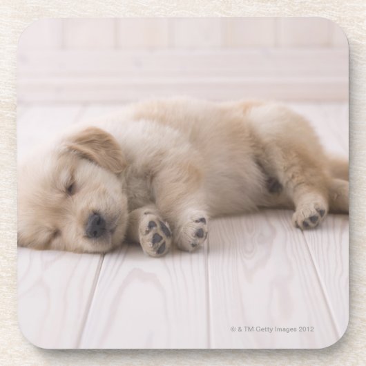 Golden Retriever Bier Onderzetter (Voorkant)