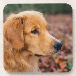 Golden Retriever Bier Onderzetter
