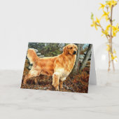 Golden Retriever Big Boy Wenskaart Kaart (Gele Bloem)