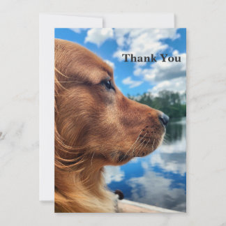Golden Retriever bij het Meer Bedankkaart