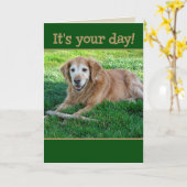 Golden Retriever, bijtende goodies voor Vaderdag Kaart (Gele Bloem)