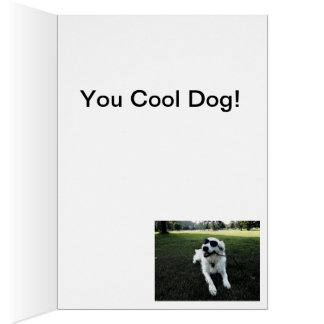 Golden Retriever Birthday Card