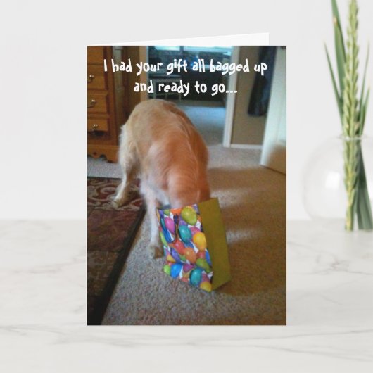 Golden Retriever Birthday Card Kaart (Voorkant)
