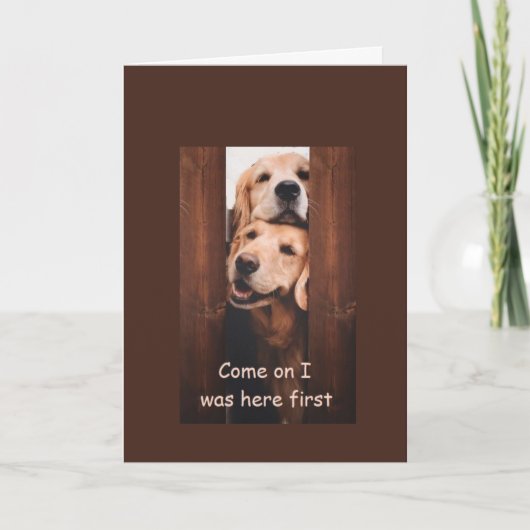 Golden Retriever Birthday Card Kaart (Voorkant)