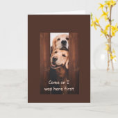 Golden Retriever Birthday Card Kaart (Gele Bloem)