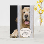 Golden Retriever Birthday Getting Old Humor Kaart (Gele Bloem)