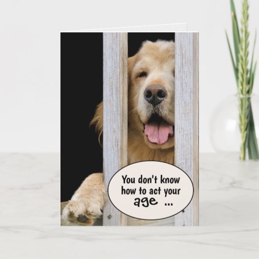 Golden Retriever Birthday Humor Kaart (Voorkant)