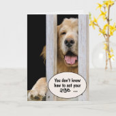 Golden Retriever Birthday Humor Kaart (Gele Bloem)