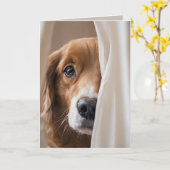 Golden Retriever Birthday Humor Kaart (Gele Bloem)