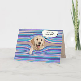Golden Retriever Birthday humor Kaart