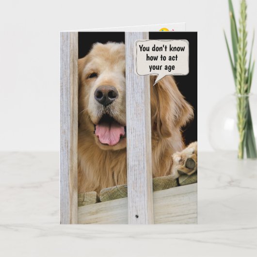 Golden Retriever Birthday Humor Kaart (Voorkant)